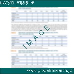 グローバルリサーチ調査レポートのイメージ